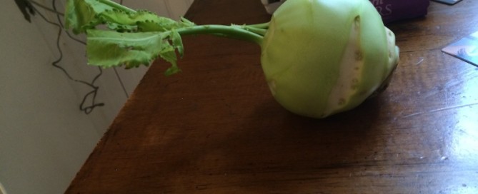 Kohlrabi