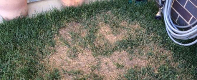 Lawn Problem